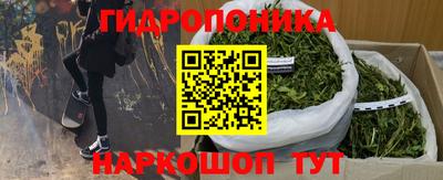 Альфа ПВП Вязники